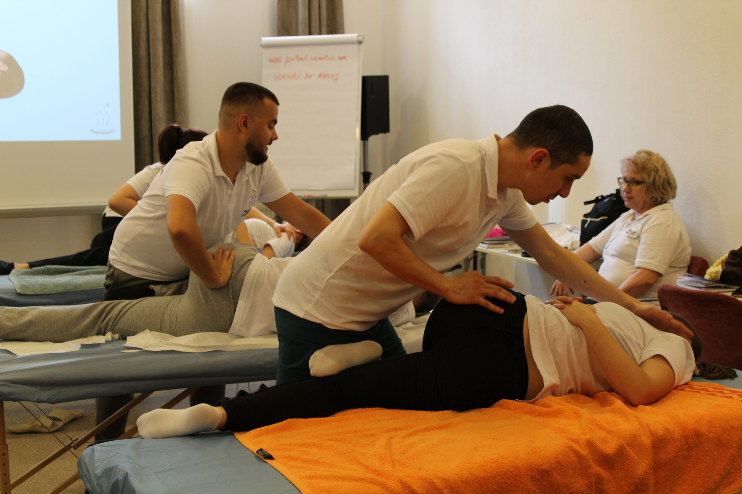 Curs - Reposturare Basic - Timișoara - imagine 5