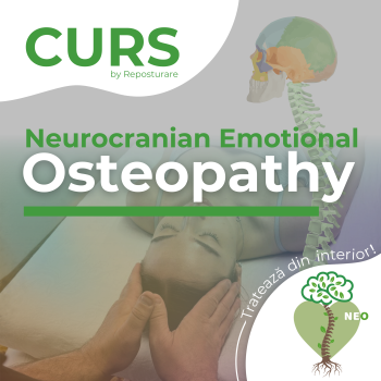 Curs - Neurocranian Emotional Osteopathy (NEO) - Oradea