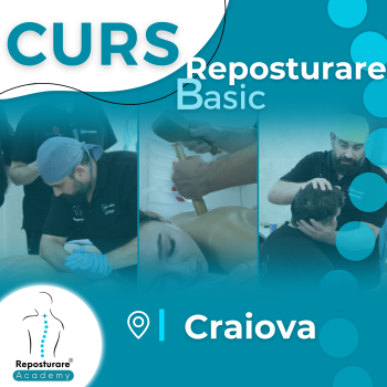 Curs - Reposturare Basic - Craiova