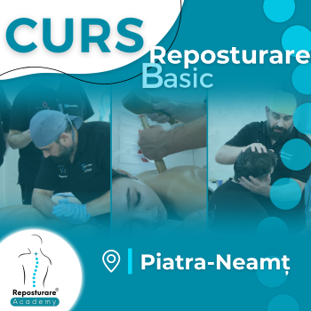 Curs - Reposturare Basic - Piatra-Neamț