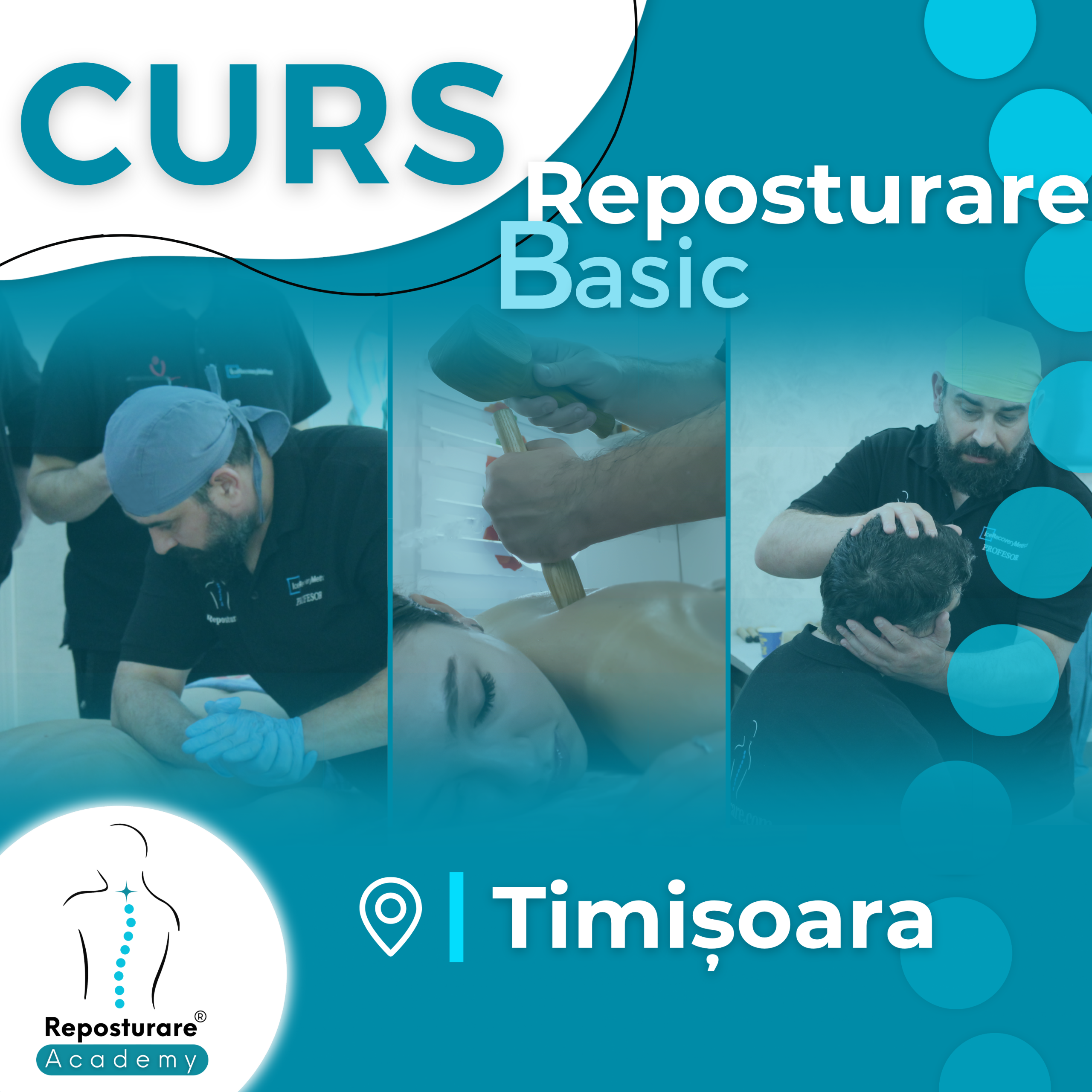 Curs - Reposturare Basic - Timișoara