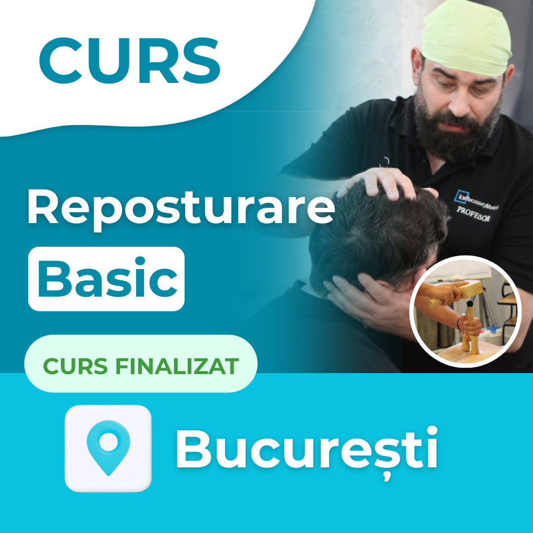 Curs Reposturare Basic | București