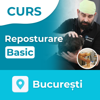 Curs Reposturare Basic | București
