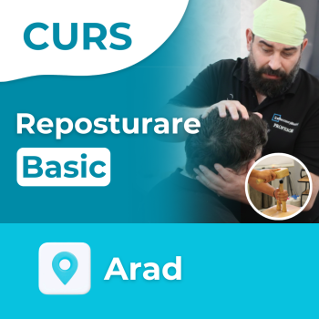 Curs Reposturare Basic | Arad