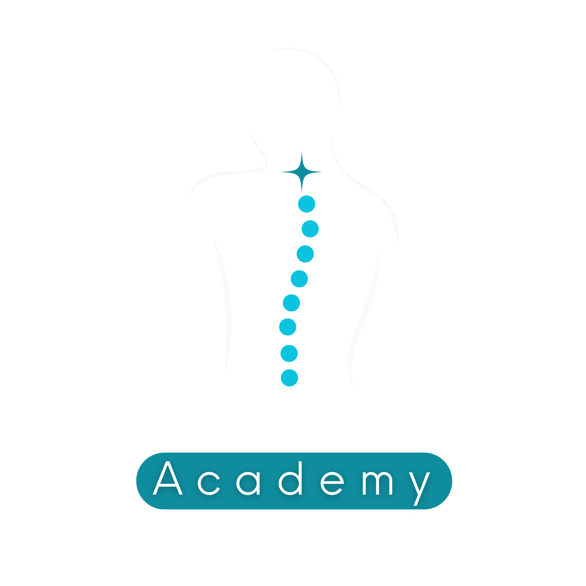 Reposturare Academy